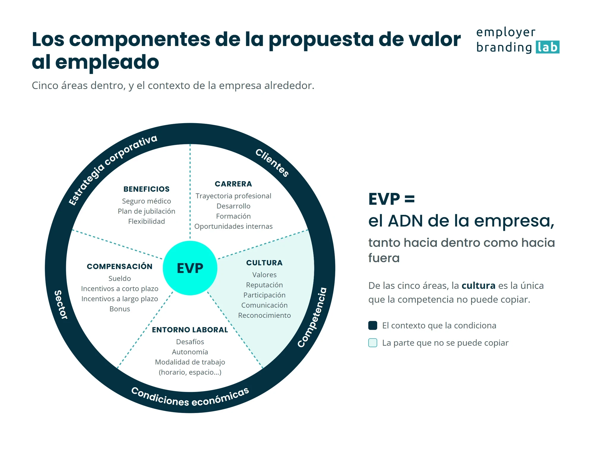 Rueda de la propuesta de valor al empleado: compensación, beneficios, carrera, cultura y entorno laboral en el centro, rodeados por la estrategia corporativa, los clientes, la competencia, las condiciones económicas y el sector